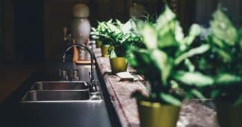 Comment faire un jardin d’intérieur soi-même ?