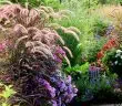 Comment aménager un jardin de graminées et autres plantes vivaces