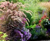 Comment aménager un jardin de graminées et autres plantes vivaces ?
