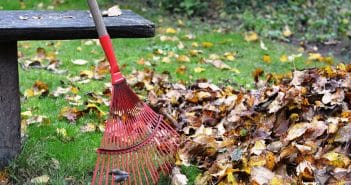 7 outils indispensables pour mener à bien ses travaux de jardinage