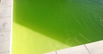 Comment éviter d’avoir des algues dans une piscine