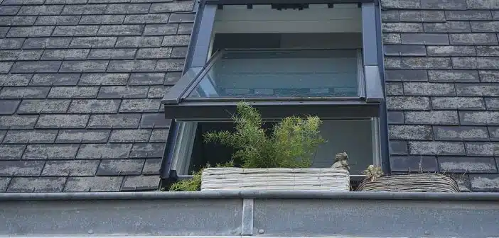 Choisir le type de fenêtre de toit idéal pour votre maison