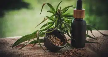 Comment bien choisir sa chambre de culture de CBD ?