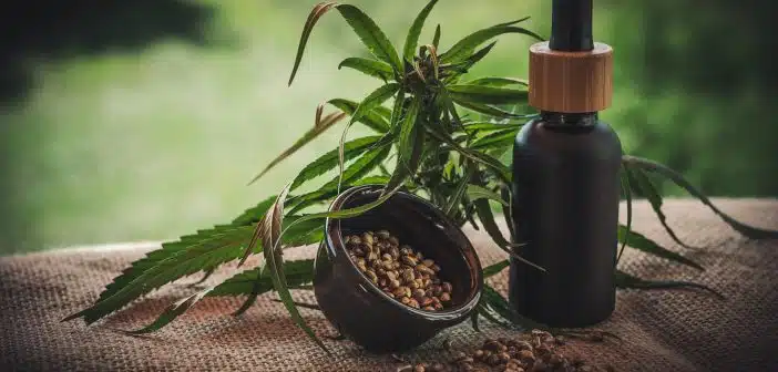 Comment bien choisir sa chambre de culture de CBD ?