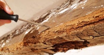 Le diagnostic termites : pourquoi le faire avant la vente d’une maison ?