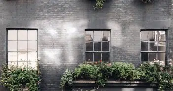 green plants on brown concrete building