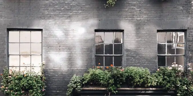 green plants on brown concrete building