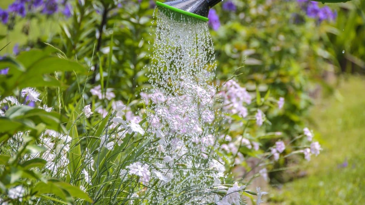 Jardinage : optez pour le recyclage d’eau pluviale