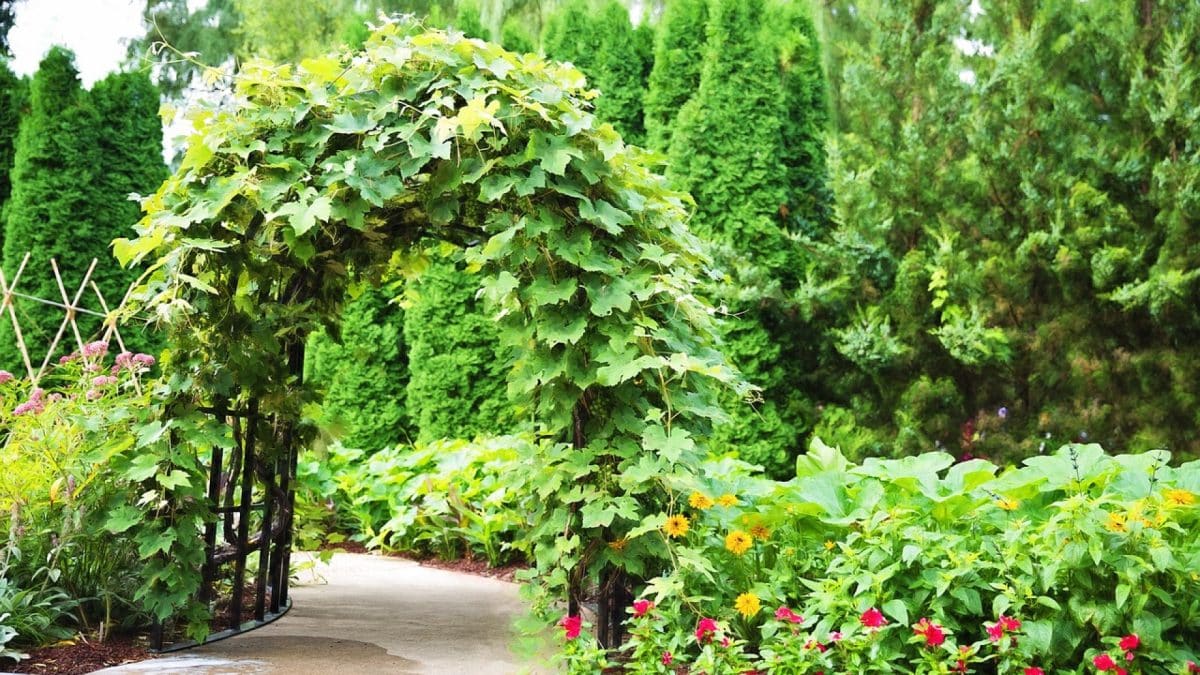 Pergola : pourquoi vaut-il mieux opter pour un modèle sur-mesure ?