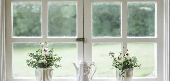 white teapot and tow flower vases on windowpane